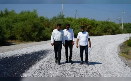 Milas’ta sathi kaplama seferberliği Avşar Mahallesi’nden başladı, çalışmalar kırsala yayılacak