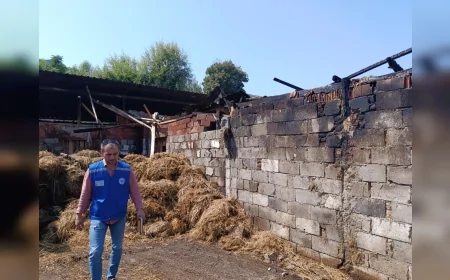 Muğla Büyükşehir Belediyesi, yangında 500 balyası kül olan üreticiye destek verecek
