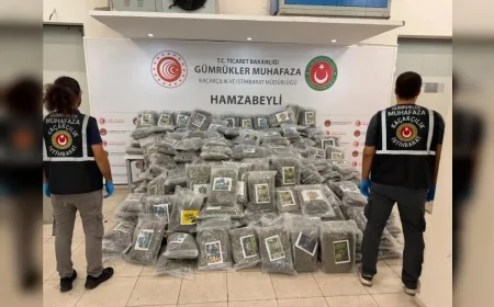 Ticaret Bakanlığı Gümrükler Muhafaza ekiplerinden Hamzabeyli’de uyuşturucu operasyonu: 288 kilograma yakın esrar ele geçirildi