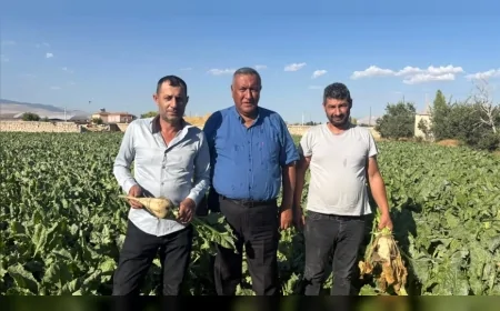 CHP Niğde Milletvekili Ömer Fethi Gürer: “Pancar üreticisi fiyat bekliyor, çiftçinin beklentisi en az 4 bin lira”