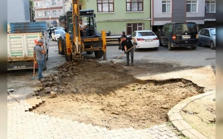 Giresun Belediyesi kent genelinde yol, kaldırım ve yeşil alan çalışmalarını sürdürüyor