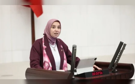 DEVA Partisi Genel Başkan Yardımcısı Elif Esen: “Hayvana yapılan zulüm yalnızca bugünün değil, yarının da meselesidir”