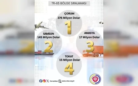 Çorum, Temmuz ayında 376 milyon dolarlık ihracatla Türkiye genelinde 16’ncı sırada yer aldı