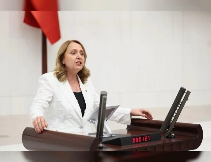 CHP GENEL BAŞKAN YARDIMCISI SEMRA DİNÇER: “GÖSTERİŞLİ ORGANİZASYONLAR DEĞİL, ÇEVRE MÜCADELESİ GÖRMEK İSTİYORUZ”