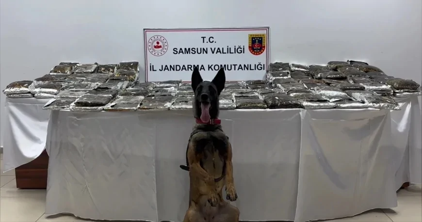İçişleri Bakanlığı: “Samsun’da düzenlenen operasyonda 132 kilogram toz esrar ele geçirildi”