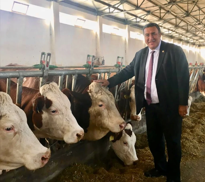 CHP Niğde Milletvekili Ömer Fethi Gürer: “İthalat kotası altı ayda doldu, gemilerle hayvan geliyor ama et yine lüks”
