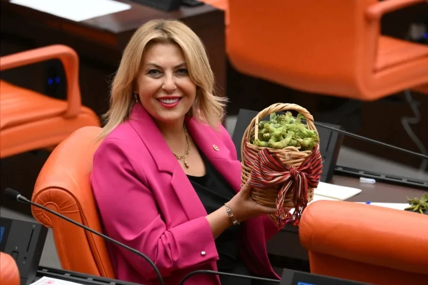 YENİ Parti Giresun Milletvekili Elvan Işık Gezmiş: “TMO, fındık taban fiyatını hasat başlamadan önce en az 350 TL olarak açıklamalıdır”