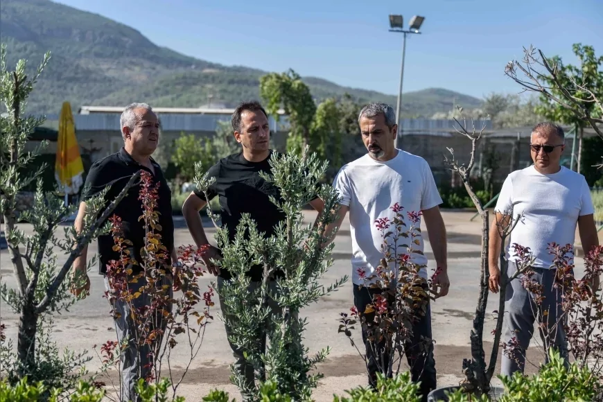 Bornova’da 7 dönümlük atıl alan lavantalarla İzmir’in ilk lavanta parkına dönüşecek