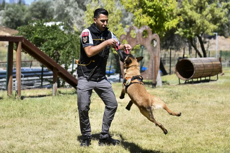 Ankara Büyükşehir Belediyesi’nin 14 K9 köpeği Başkent’te park ve tarihi bölgelerde 7 gün 24 saat görev yapıyor