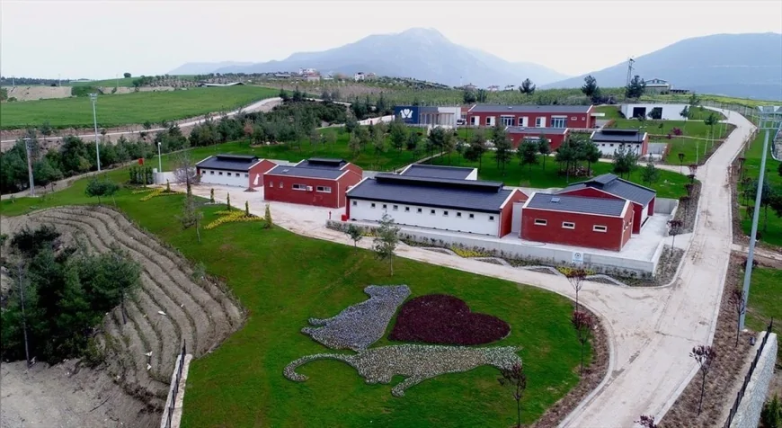 Denizli Büyükşehir Belediyesi Sokak Hayvanları Merkezi’ne ilişkin iddialara suç duyurusu ve resmi denetim açıklaması
