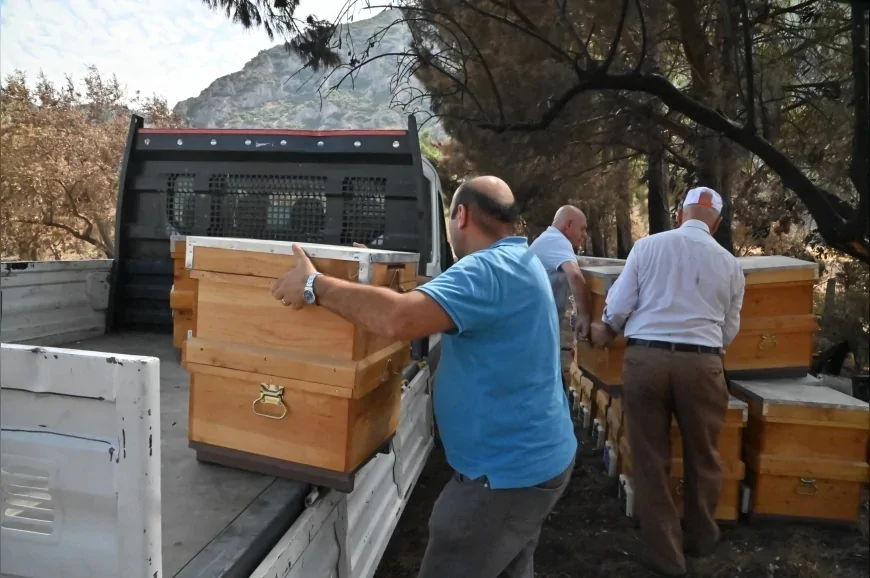 Manisa’da yangından etkilenen arıcıya Büyükşehir’den 20 yeni kovan desteği