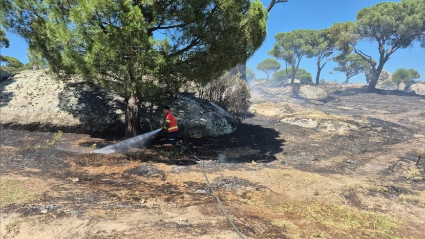 Muğla’da 3 bin 869 açık alan yangınının yüzde 69’unda insan faktörü öne çıktı
