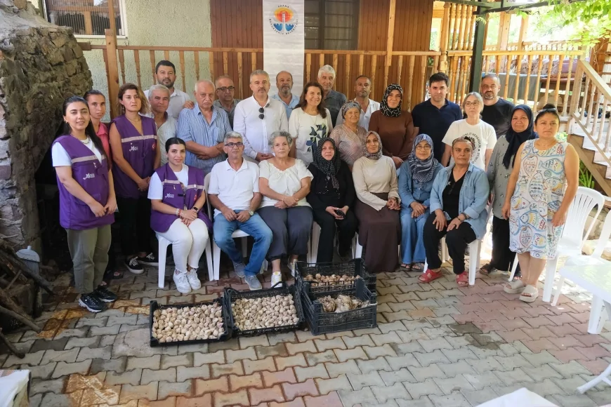 Adana Büyükşehir Belediyesinin Beyaz Zambak Projesinde kadın üreticiler hasadı tamamladı