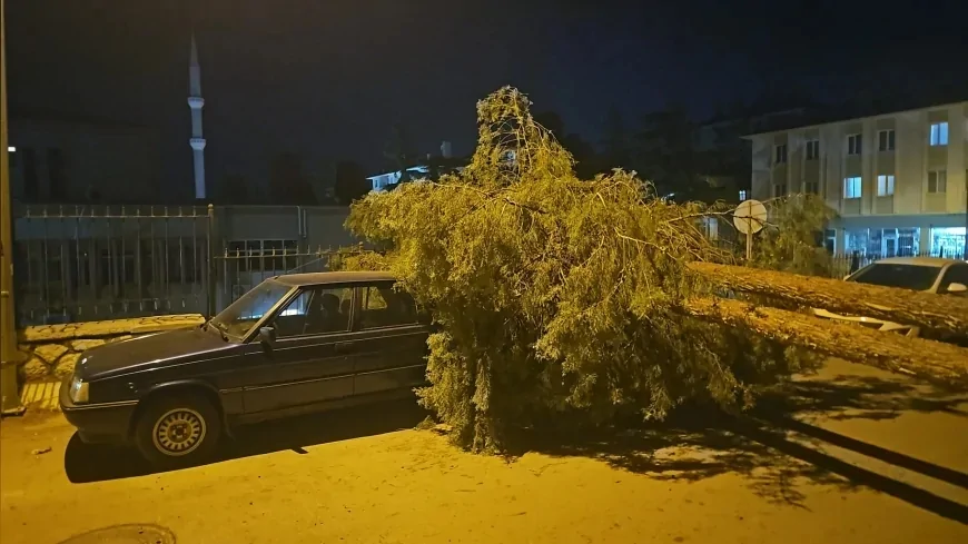 Çorum’da rüzgarın devirdiği çam ağacı otomobil ve hastane araçlarına zarar verdi