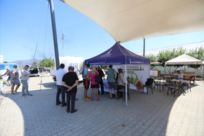 İzmir Büyükşehir Belediyesi Efes Selçuklu incir üreticilerine kurutma kasası desteği verdi