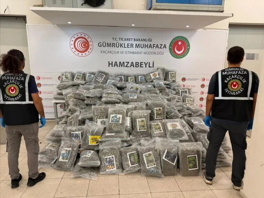 Ticaret Bakanlığı Gümrükler Muhafaza ekiplerinden Hamzabeyli’de uyuşturucu operasyonu: 288 kilograma yakın esrar ele geçirildi