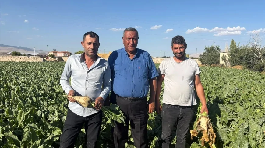 CHP Niğde Milletvekili Ömer Fethi Gürer: “Pancar üreticisi fiyat bekliyor, çiftçinin beklentisi en az 4 bin lira”