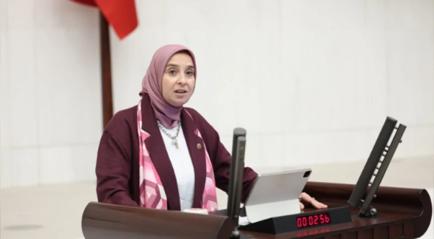 DEVA Partisi Genel Başkan Yardımcısı Elif Esen: “Hayvana yapılan zulüm yalnızca bugünün değil, yarının da meselesidir”