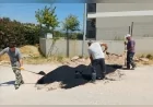 Menderes Belediye Başkan V. Asuman Şen: “Tüm hasarlı yollarımızda yama çalışması başlattık”