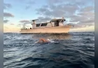 İzmirli ultra maraton yüzücüsü Tuna Tunca Catalina Kanalı’nı 11 saatte geçerek Ocean’s Seven hedefine yaklaştı