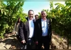 Manisa’da Bağbozumu Şenlikleri Hacıhaliller’de üzüm hasadıyla başladı