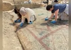 Kültür ve Turizm Bakanı Mehmet Nuri Ersoy: “Pompeiopolis’te 105 metrekarelik zemin mozaiklerini açığa çıkardık”