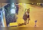 Antalya Manavgat’ta Kalaşnikof Görünümlü Plastik Oyuncak Tüfekle Dolaşan Şüpheli Gözaltına Alındı