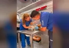 Muğla Büyükşehir Belediyesi Yaraş’taki Orman Yangınında Etkilenen Hayvanlara Acil Müdahale Etti