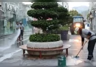 Marmaris Belediyesi ekipleri Sevgi Yolu’nda sabahın erken saatlerinde kapsamlı temizlik ve yıkama çalışması yaptı