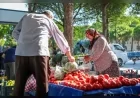 Hacıömerli’de Salı Pazarı üreticiler ile vatandaşları doğal ve geleneksel ürünlerde buluşturuyor