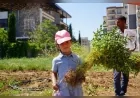 Adıyaman Belediye Başkanı Abdurrahman Tutdere: “Sosyal belediyeciliği üretimle güçlendiriyoruz”