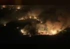 Adana Büyükşehir ekipleri Kozan, İmamoğlu ve Aladağ’daki yangınlarda teyakkuzda