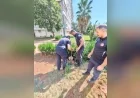 Adıyaman’da kuyuya düşen yavru kedi itfaiye ekiplerinin titiz operasyonuyla kurtarıldı