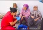 Seferihisar Belediye Başkan Vekili Fuat Gümüş: “Hizmeti vatandaşımızın ayağına götürüyoruz”