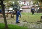 Giresun Belediyesi kent genelindeki yeşil alanlarda bakım ve budama çalışmalarını sürdürüyor