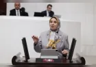 DEVA Partisi Genel Başkan Yardımcısı Elif Esen: “Çiftçi ucuza satıyor, vatandaş pahalıya alıyor; bu fiyat farkı nerede oluşuyor?”