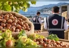 Ticaret Bakanlığı Ordu ve Giresun’daki fındık piyasası için müfettiş görevlendirdi