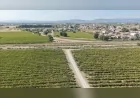 Şehzadeler Belediyesi Karaağaçlı Mahallesi’nde Ova Yollarını Düzenledi, Sokakları Kilit Parkeyle Yeniledi