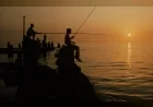 Adana Altın Koza 23 ülkeden 24 yönetmenin 26 filmini sinemaseverlerle buluşturacak