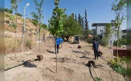 İzmir’de atıl alan yeşil dönüşümle mahalle parkına dönüşüyor