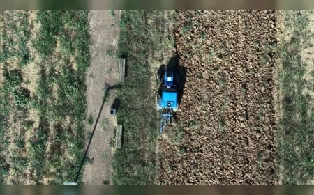 Yalova Belediyesi Kent Bostanı projesiyle 120 vatandaşa üretim alanı sunacak