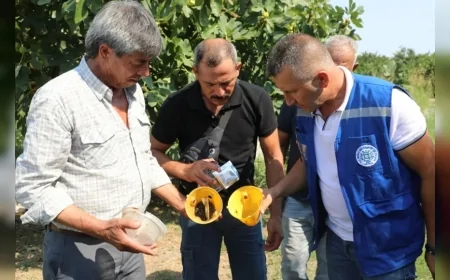 Muğla Büyükşehir Belediye Başkanı Ahmet Aras: “Üreticimizin emeğini ve toprağımızı korumaya devam edeceğiz”