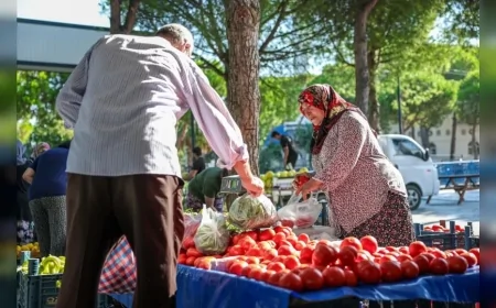 Hacıömerli’de Salı Pazarı üreticiler ile vatandaşları doğal ve geleneksel ürünlerde buluşturuyor