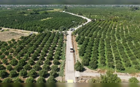 Muğla Büyükşehir Belediyesi Köyceğiz’de 7 Güzergâhta Yol Çalışmalarını Sürdürüyor