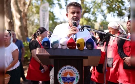 Bursa’nın zeytin mirası Gemlik ve Orhangazi’de “İki İlçe, Tek Miras” sloganıyla buluştu