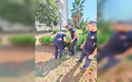 Adıyaman’da kuyuya düşen yavru kedi itfaiye ekiplerinin titiz operasyonuyla kurtarıldı