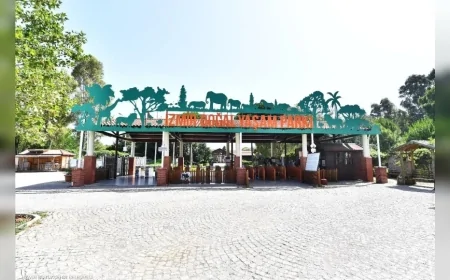 İzmir Doğal Yaşam Parkı’nda ziyaret saatleri değişiyor, kış uygulaması 12 Ekim’de başlayacak