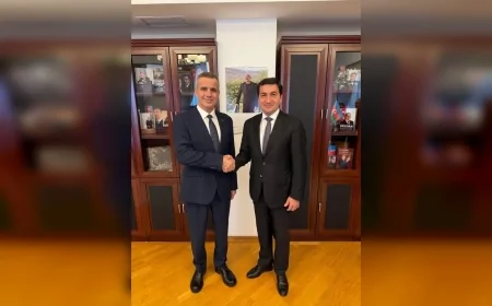 Azerbaycan Cumhurbaşkanı Yardımcısı Hikmet Hacıyev, Ferhat Pirinççi ve İletişim Başkanlığı heyetini kabul etti