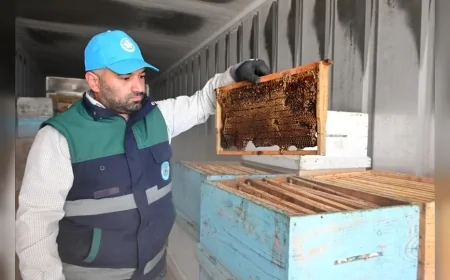 Manisa Büyükşehir Belediye Başkanı Besim Dutlulu: “Petekler Eksi 30 Derecede 48 Saat Şoklanarak Korunuyor”