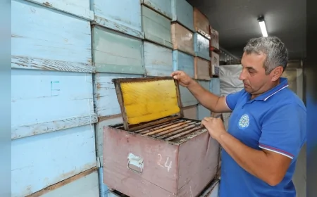 Muğla Büyükşehir Belediye Başkanı Ahmet Aras: “Arıcımızın emeğini ve üretimini koruyoruz”